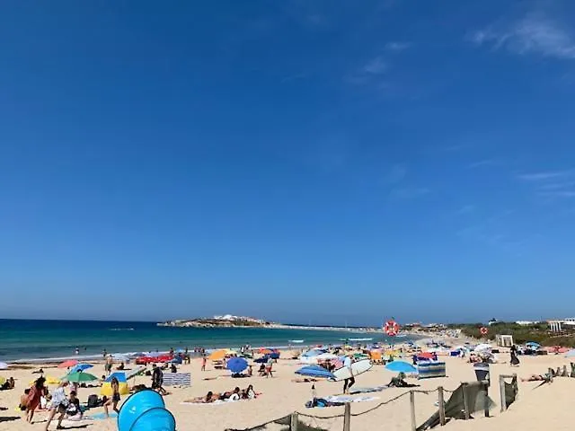Bba Climatise Vue Baleal 公寓 费雷尔