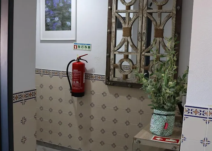 Bba Climatise Vue Baleal 费雷尔